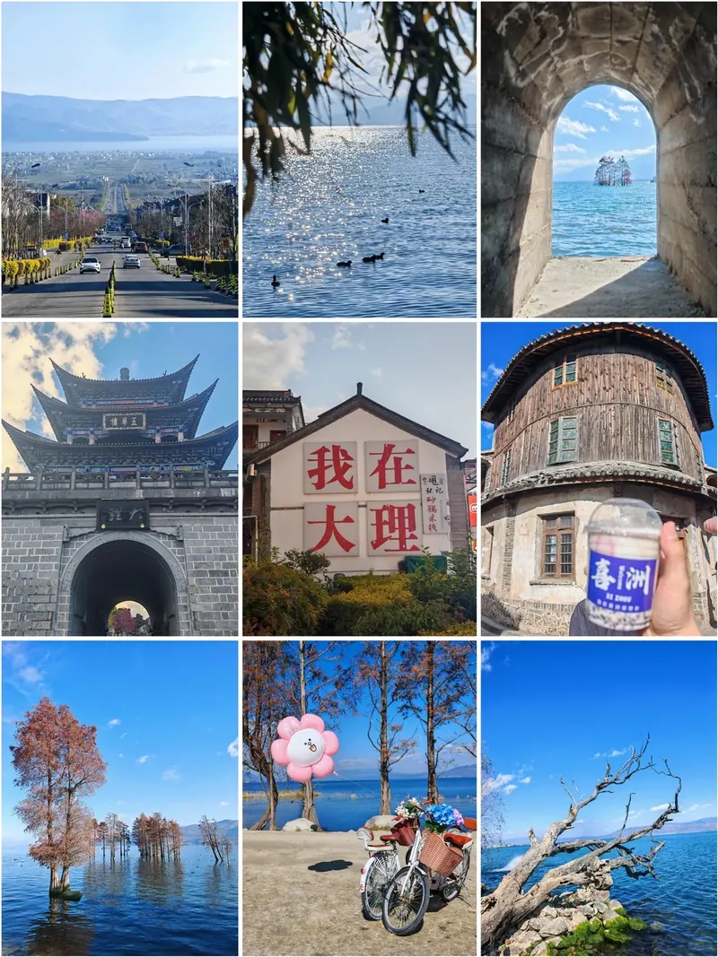 A collage of cycling and lakeside scenes around Erhai Lake