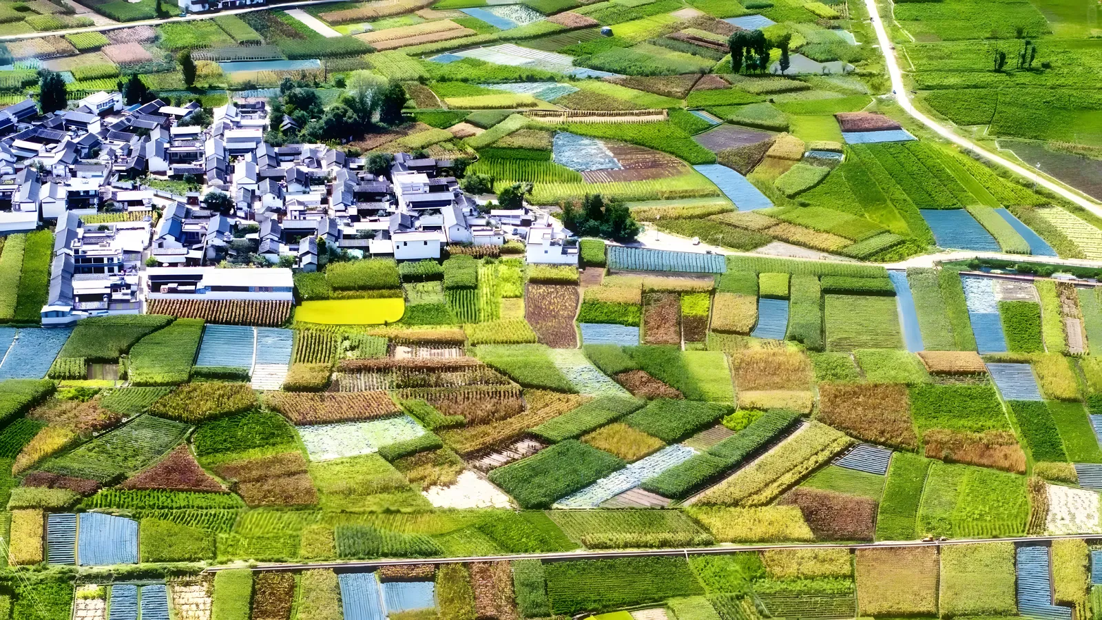 Aerial view of a Bai village among patchwork fields near Dali