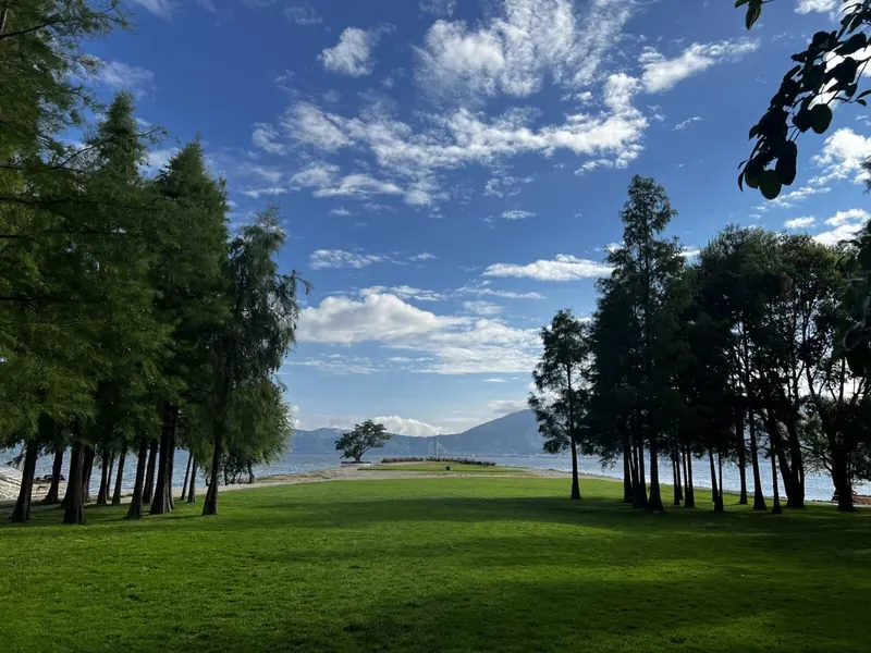 Trees and lawn on the Haishe Park peninsula by Erhai