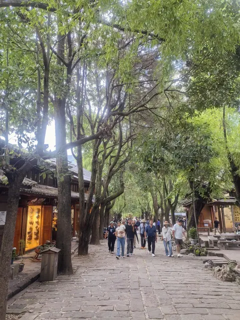 A tree-lined stone avenue in Shaxi